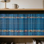 Collection complète livres Disney Hachette alignés sur une étagère, éditions illustrées de contes classiques