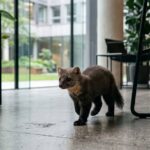 Nuance beige sable dans un intérieur moderne épuré aux tons neutres et naturels